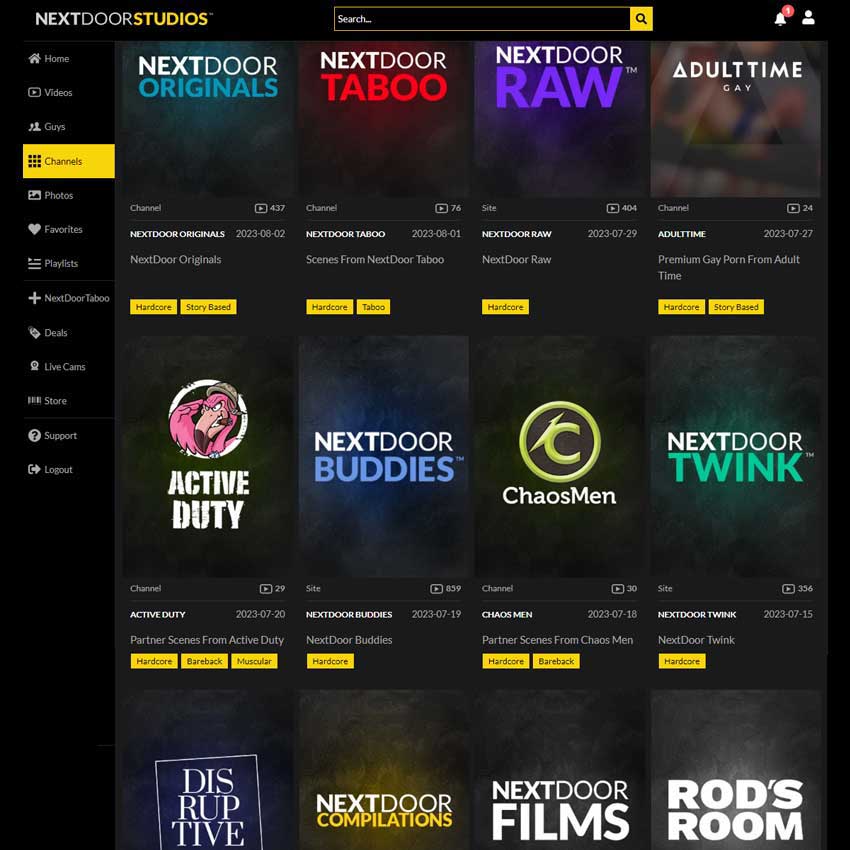 Next Door Studios