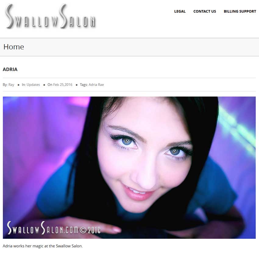 Swallow Salon