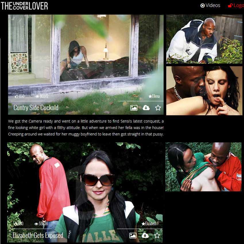 The Undercover Lover