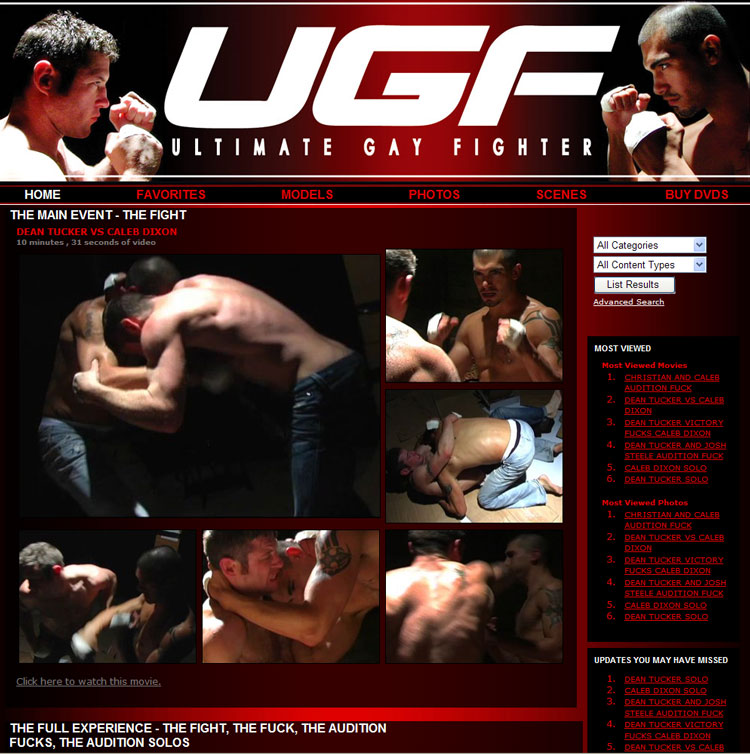 Ultimate Gay Fighter